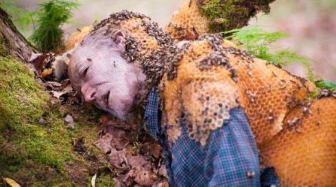 c8c49b1d820b4444c47875d15fddc436