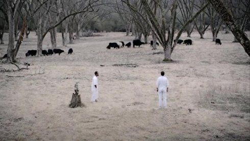 aeb1759f623d4fb1cf3ca3915720346b