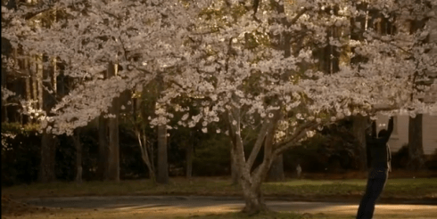 Screen shot 2014-07-24 at 9.24.59 PM