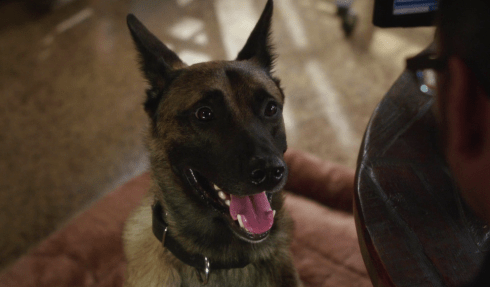 ed4yifhrocu5yve4hx3y